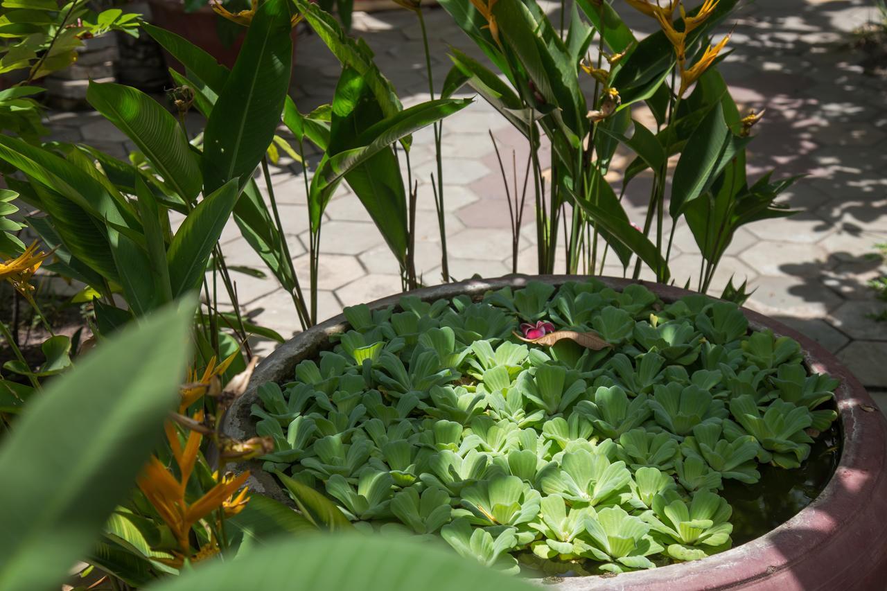 Side Walk Hotel Siem Reap Esterno foto